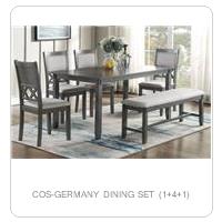 COS-GERMANY DINING SET (1+4+1)